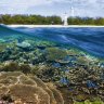 Just Great: the Reef still amazes.