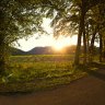 Italian influence ... Prosecco Road wine trail through King Valley.