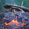 Fish ready for the fire: Nature provides everything we need.