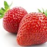 Pick some fresh strawberries from Huntley Berry Farm when they're in season.