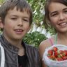 Stop for fuel: pick your own strawberries at Ricardoes Tomatoes