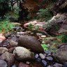 Australian wonder ... Carnarvon Gorge.