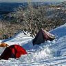 Back country survival ... tents pitched in the snow in Kosciuszko National Park. 