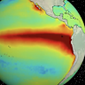 This animated video explains what El Nino is and how it affects weather around the world.
