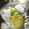 Gin and tonics can be garnished beyond a traditional slice of lemon.