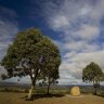 Ararat, VIC