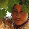 Rich history ... harvesting grapes in the Bekaa Valley