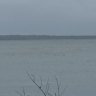 Video taken by a camper shows the crocodile, which has travelled further south than normal, swimming near the beach and barge landing at Inskip Point.