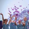 Danebank Anglican School for Girls in Hurstville contributed poems to the Herald's poetry prize which they wrote under the school's jacaranda tree.  Near the tree, they threw small bits of purple paper into the air to emulate the flowers of the jacaranda floating to the ground.