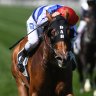 Hayes eyes Royal Ascot for triumphant Redkirk Warrior