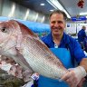 Con Doukas from Musumeci holds up a large Wild South Australian Snapper. 