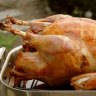 Roast turkey