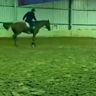 The former Australian Olympian has defended his actions on social media, saying it was “life or death” for the horse which was on its way to the knackery.