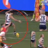 Geelong champion Jimmy Bartel has called out forward Tyson Stengle's performance in the Cats' preliminary-final loss to the Lions