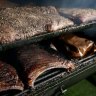 Steak and ribs in the smoker at Bluebonnet Barbecue.