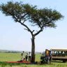 Lunch at Masai Mara.