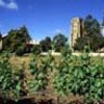 The church and vineyards at Sevenhills Winery