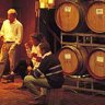 Uncorked ...barrels line the walls at Wirra Wirra.