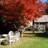 Hellore cottage garden.