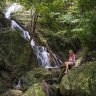 The Daintree teems with life.