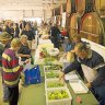 The food heritage and culture of the Barossa are easy to find at the farmers market.