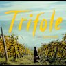 Set in Northern Italy, Trifole is a film about family and change