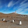 Isla Magdalena is two hours by boat from Punta Arenas and a seasonal home to a colony of Magellanic penguins.