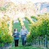 Food and drink haven: A couple stroll through the Mayfield vineyard in Orange, NSW.