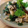 Mushroom ragu with kale and poached eggs.