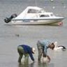 Anglers search for bait on the edge of Wilsons Promontory N.P.