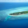 An 11-year-old boy has been bitten by a reef shark off Heron Island.