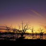 Menindee Lakes.