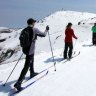 Falls Creek, cross country skiing