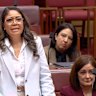 The senator, who was Kumanjayi Little Baby’s aunt, broke down in tears during a condolence motion for the five-year-old girl killed in Alice Springs.