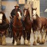 Sovereign Hill